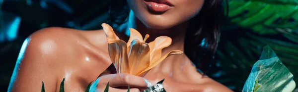 Panoramic shot of sexy woman holding flower near green leaves — Stock Photo