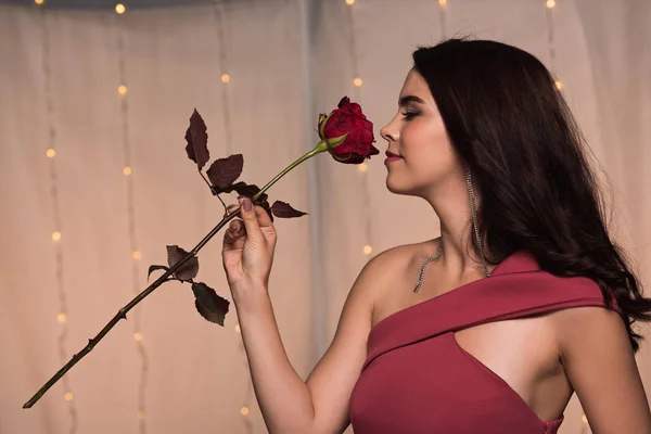 Beautiful, elegant girl enjoying flavor of red rose on valentines in restaurant — Stock Photo