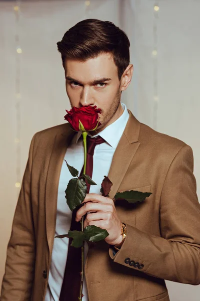 Handsome, elegant man sniffing red rose while standing in restaurant and looking at camera — Stock Photo