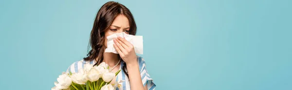 Panoramaaufnahme einer kranken Frau, die sich mit Papierserviette die Nase abwischt, während sie weiße Tulpen isoliert auf Blau hält — Stockfoto