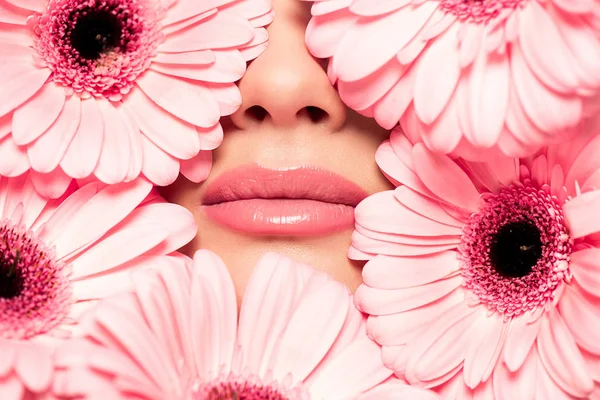 Vista cortada do rosto da menina em flores de gerbera rosa — Fotografia de Stock