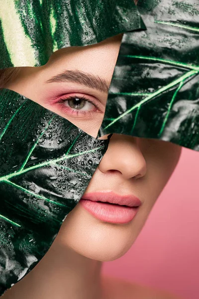 Hermosa chica con maquillaje rosa aislado en rosa con hojas verdes - foto de stock