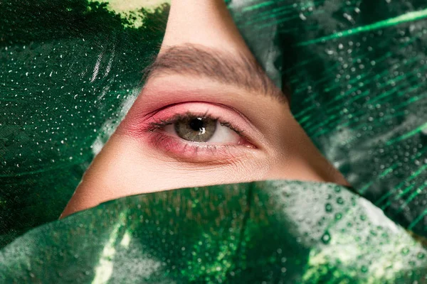 Cropped view of girl with pink eyeshadow on eye with green leaves — Stock Photo