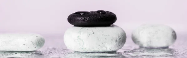 Panoramic shot of zen stones with water drops on wet glass on purple background — Stock Photo