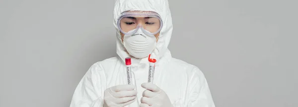 Панорамний знімок азіатського епідеміолога в косметичному костюмі та респіраторній масці, що тримає пробірки з зразками крові ізольовані на сірому — стокове фото