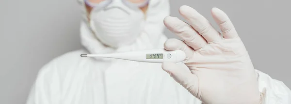 Cropped view of epidemiologist holding thermometer showing high temperature isolated on grey, panoramic shot — Stock Photo
