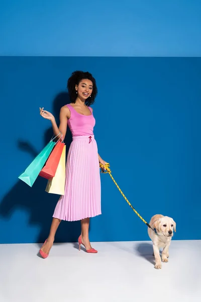 Mulher americana africana sorridente elegante com filhote de cachorro golden retriever na coleira e sacos de compras no fundo azul — Fotografia de Stock