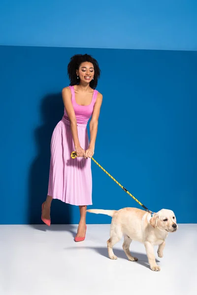 Elegante sonriente mujer afroamericana con cachorro golden retriever con correa sobre fondo azul - foto de stock