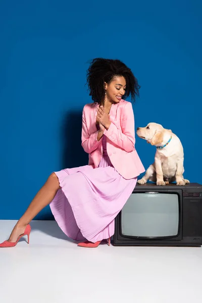Sorridente Africano americano mulher sentada no vintage tv com golden retriever filhote de cachorro no fundo azul — Fotografia de Stock