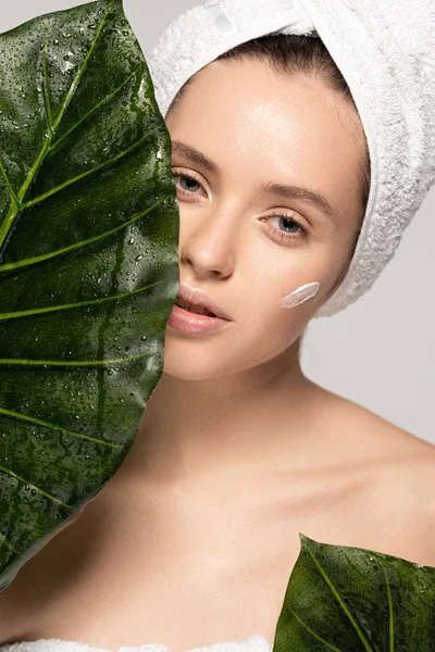 Attractive girl with moisturizing cream on face and towel on head posing with green leaves, isolated on grey — Stock Photo