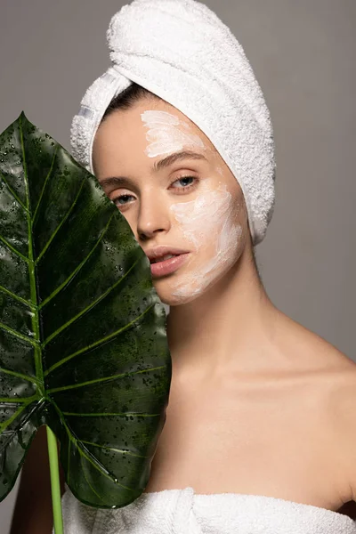 Chica atractiva con máscara cosmética en la cara y toalla en la cabeza posando con hoja verde, aislado en gris - foto de stock