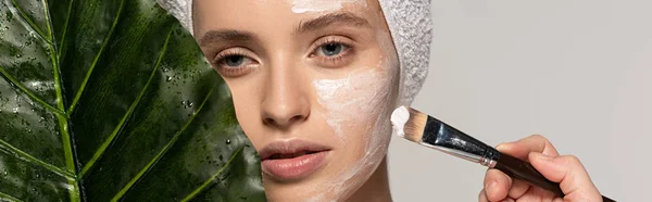 Panoramic shot of beautiful girl applying mask on face with cosmetic brush, isolated on grey with leaf — Stock Photo