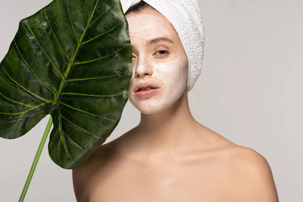 Красивая женщина с косметической маской на лице и полотенцем на голове позирует с зеленым листом, изолированный на сером — стоковое фото