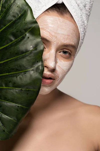 Atractiva joven con máscara cosmética en la cara y toalla en la cabeza posando con hoja verde, aislado en gris - foto de stock