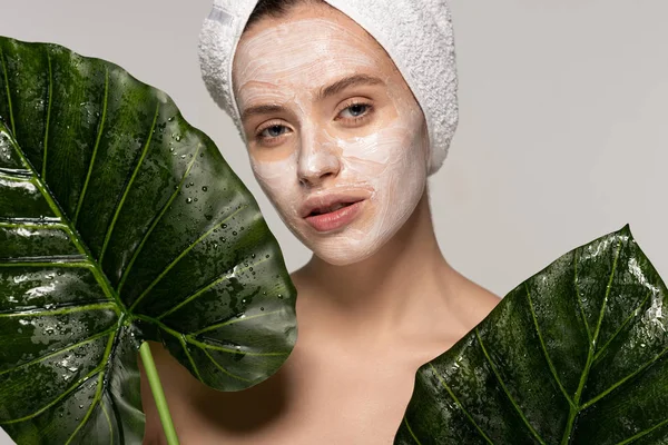 Chica atractiva con máscara cosmética en la cara y toalla en la cabeza posando con hojas verdes, aislado en gris - foto de stock