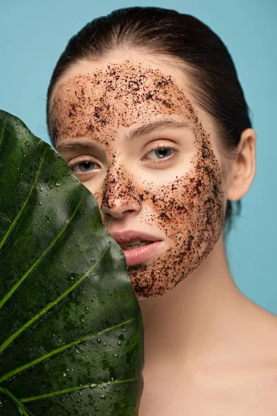 Hermosa chica con exfoliante de café en la cara y posando con hoja, aislado en azul - foto de stock