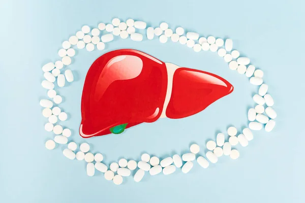 Верхний вид таблеток рядом с нарисованной красной печенью на голубом — стоковое фото