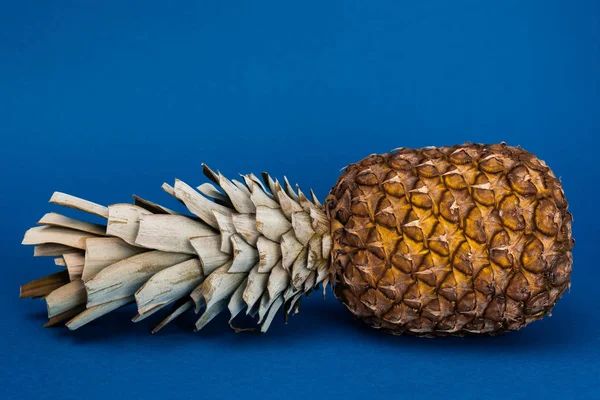 Gustoso, organico e intero ananas su sfondo blu con spazio copia — Foto stock