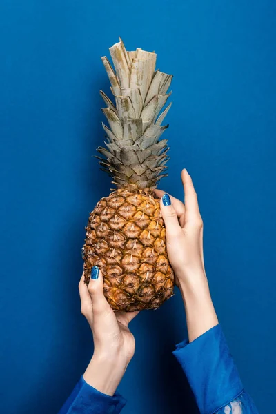 Cropped view of woman holding tasty and whole pineapple on blue background — Stock Photo