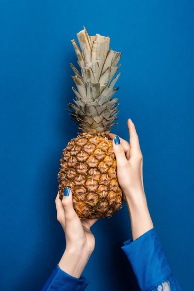 Vista recortada de la mujer sosteniendo sabrosa y entera piña sobre fondo azul - foto de stock