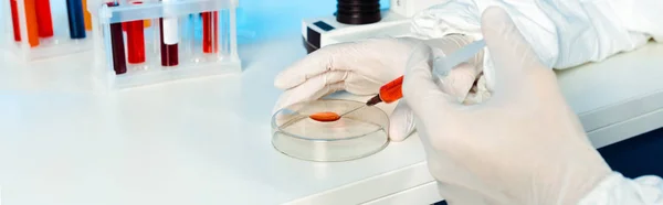 Prise de vue panoramique du scientifique dans des gants en latex tenant la seringue près de la plaque d'essai en verre — Photo de stock