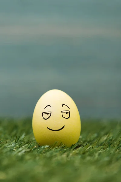 Ovo de Páscoa com expressão de rosto sorridente na grama — Fotografia de Stock