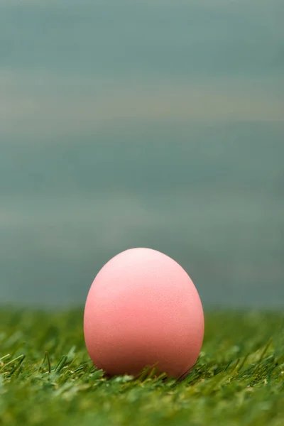 Розовая курица Пасхальное яйцо на зеленой траве — стоковое фото