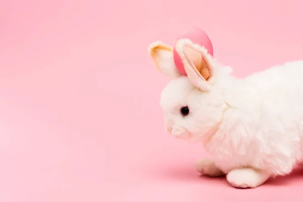Conejito decorativo con huevo de Pascua sobre fondo rosa - foto de stock