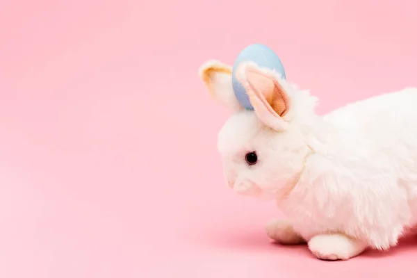 Conejito decorativo con huevo de Pascua azul sobre fondo rosa - foto de stock