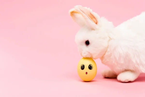 Easter bunny and painted chicken egg with surprised facial expression on pink — Stock Photo