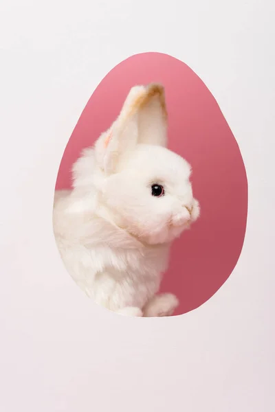 Moldura em forma de ovo com coelho de Páscoa isolado em branco — Fotografia de Stock