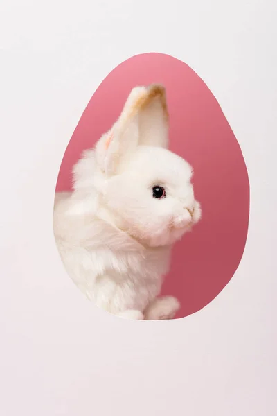 Egg shape frame with easter bunny isolated on white — Stock Photo