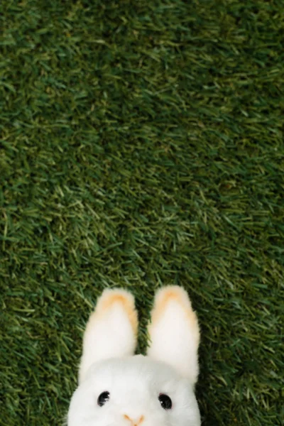 Top view of decorative bunny on green background, easter concept — Stock Photo