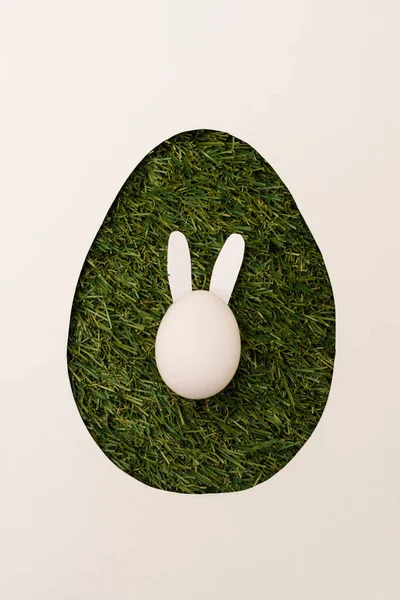 Top view of egg shape frame with easter bunny on grass isolated on white — Stock Photo