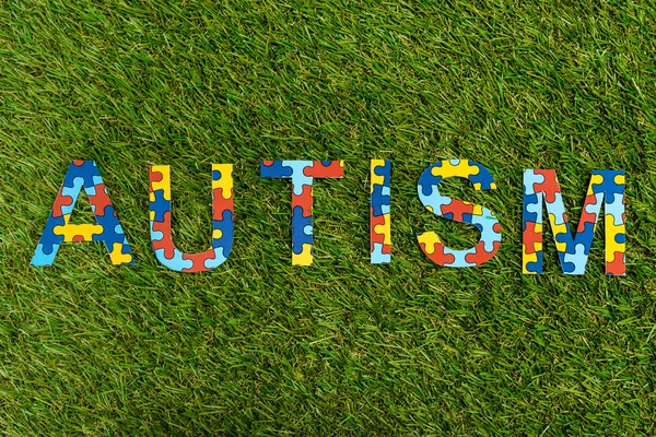 Top view of autism puzzle lettering on green background — Stock Photo