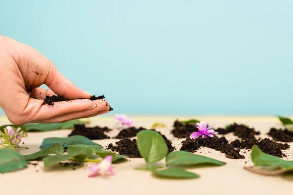 Cropped view of handful of ground in female hand on blue and beige, earth day concept — Stock Photo