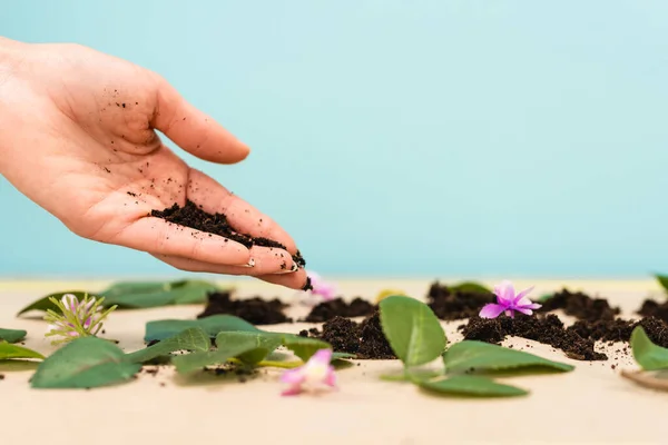 Cropped view of handful of ground in female hand with leaves and buds on blue and beige, earth day concept — Stock Photo