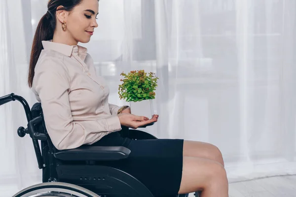 Disabled recruiter holding flowerpot with plant on wheelchair in office — Stock Photo
