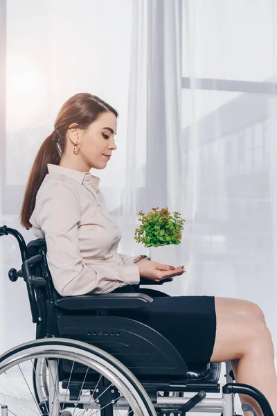 Recruteur handicapé tenant un pot de fleurs en fauteuil roulant au bureau — Photo de stock