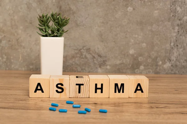 Selective focus of pills and wooden cubes with asthma lettering near plant on wooden table on grey background — Stock Photo