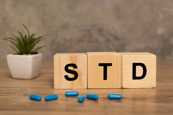 Selective focus of blocks with std letters, pills and plant on wooden table on grey background — Stock Photo