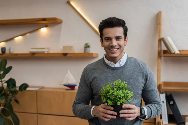 Vista frontal do empresário com vaso de flores sorrindo e olhando para a câmera no escritório — Fotografia de Stock