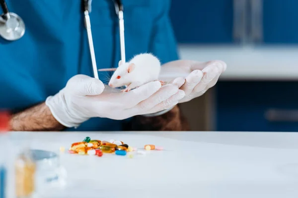 Cropped view of veterinarian in latex gloves holding white mouse near capsules on table — Stock Photo