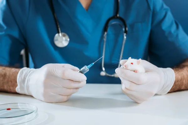 Vista recortada del veterinario en guantes de látex con ratón blanco y jeringa con medicamento - foto de stock