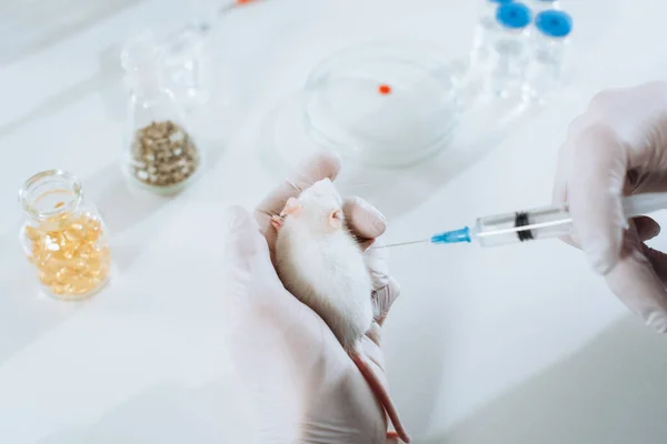 Partial view of veterinarian in latex gloves holding syringe near white mouse — Stock Photo