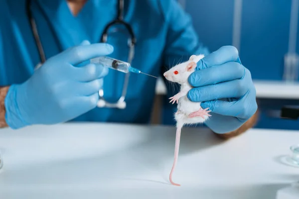 Vue partielle du vétérinaire dans des gants en latex tenant la souris blanche et la seringue avec un médicament , — Photo de stock