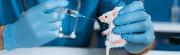 Cropped view of veterinarian in latex gloves holding white mouse and syringe with medicine, panoramic shot — Stock Photo