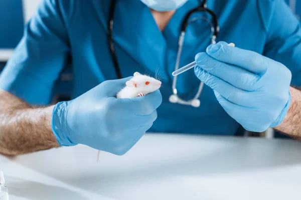 Vue recadrée du vétérinaire dans des gants en latex tenant la souris blanche et la pipette avec des médicaments — Photo de stock