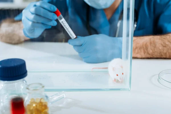 Selektiver Fokus der weißen Maus in Glasbox in der Nähe des Tierarztes in Latexhandschuhen mit Reagenzglas mit Coronavirus-Inschrift — Stockfoto