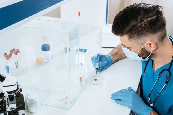 Vista de ángulo alto del veterinario en máscara médica y guantes de látex que sostiene la jeringa cerca de placa de Petri con muestra de sangre, y ratón blanco en caja de vidrio - foto de stock